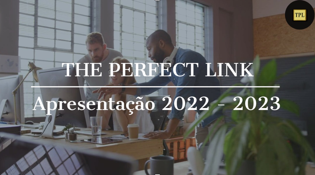 THE PERFECT LINK Empresa de Auditoria